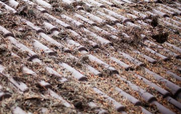 Camberwell roof cleaning companies